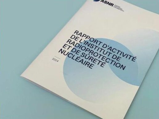 Rapport rapport d’activité ASNR