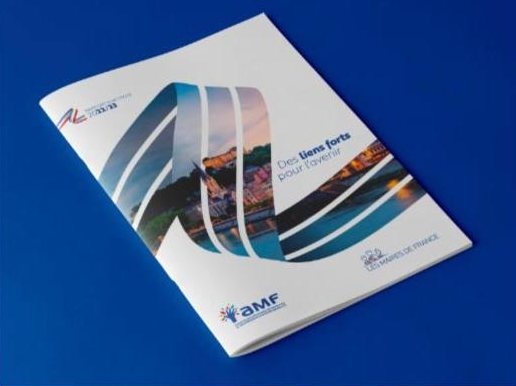 Rapport rapports d’activité AMF