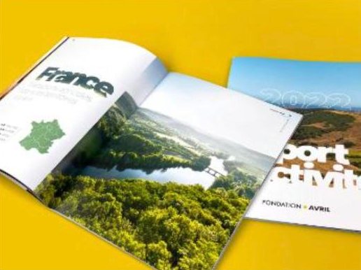 Rapport rapports d’activité Fondation Avril